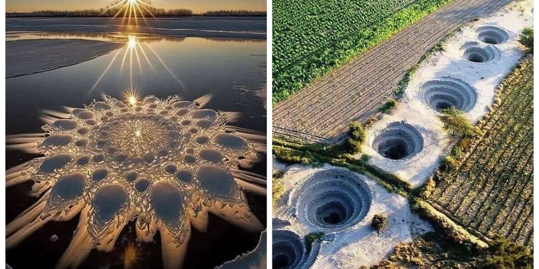 12 удивительных и занятных мест, явлений и существ со всего света