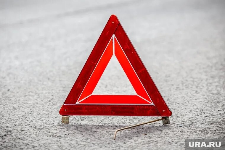 Сбив собаку, тюменец скрылся с места ДТП. Фото: Александр Мамаев © URA.RU