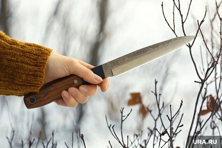 Инцидент произошел в прошлом году. Фото: ИИ © URA.RU