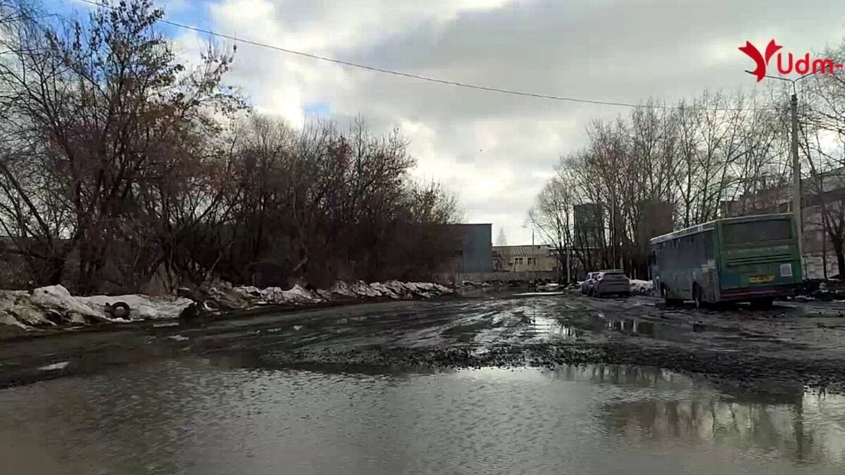     Источник: udm-info.ru