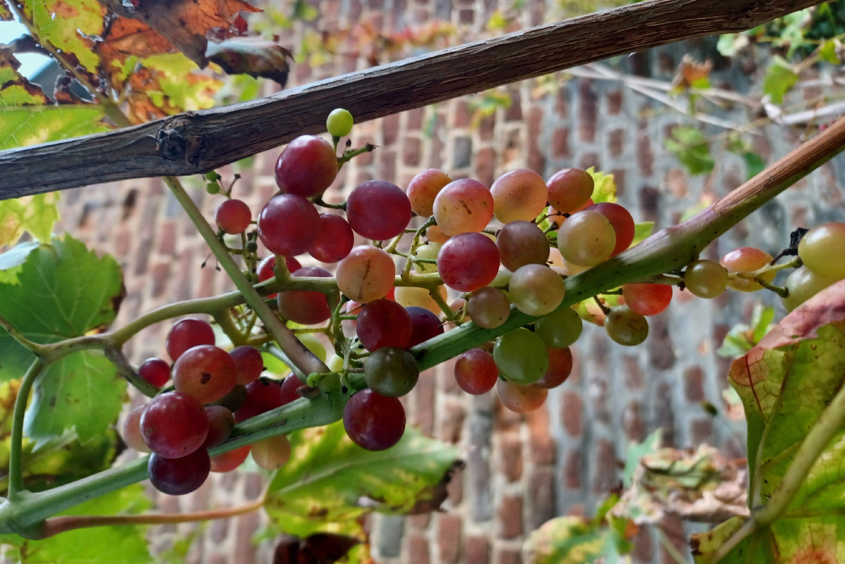 Источник фото: Canva