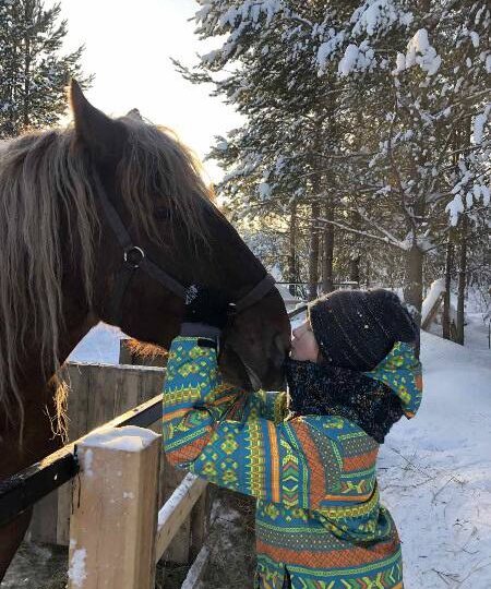 Конный клуб «Северный ветер»