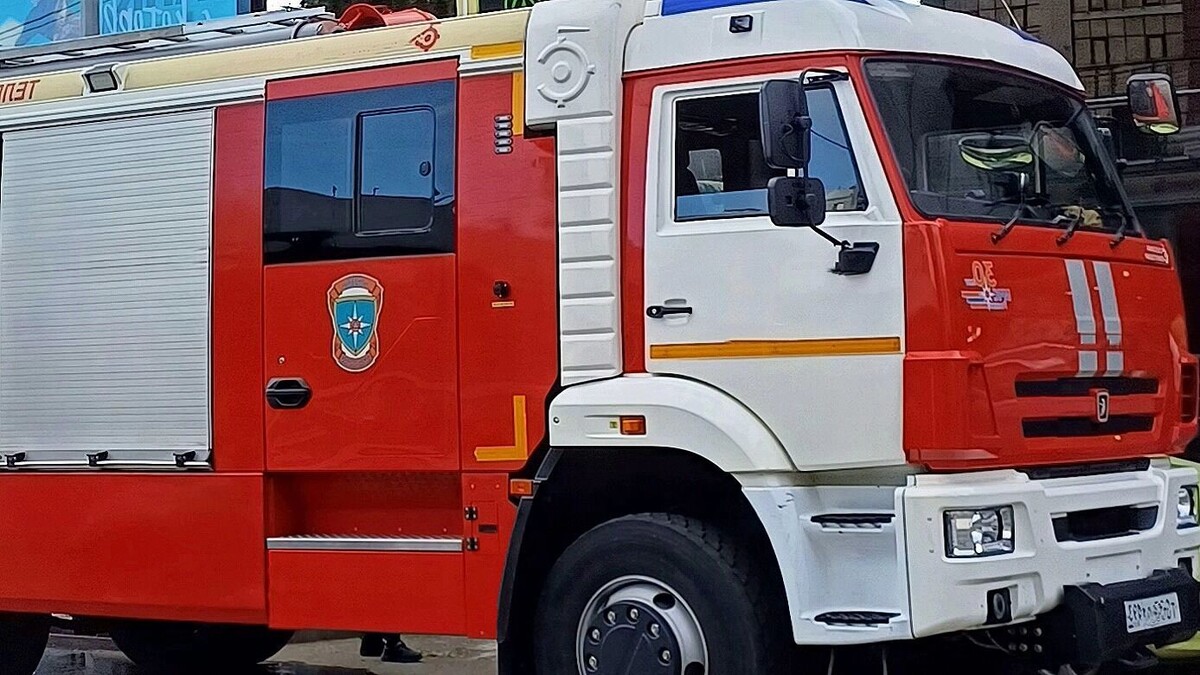     Автор: KubanPress