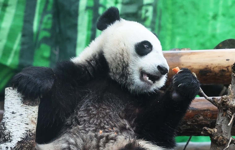    Алексей Белкин/NEWS.ru