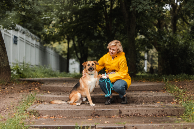Знакомьтесь! Обаятельный Бурбон. Бурбон ищет дом.