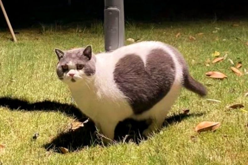 -8