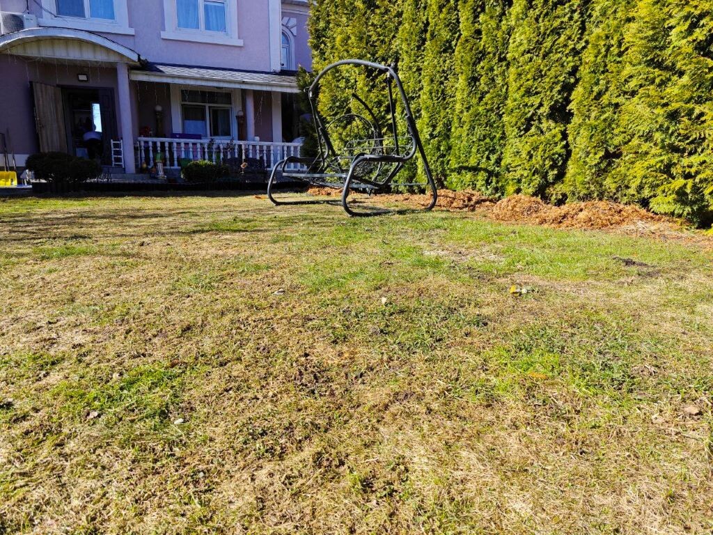 Освежаем и очищаем газон после весны