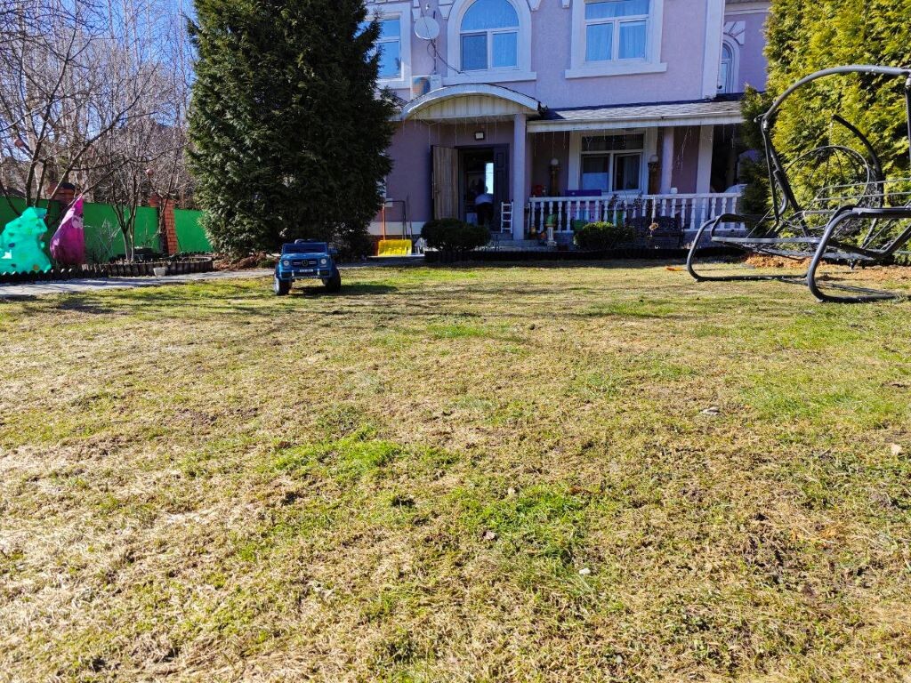 Почистите газон весной, чтобы летом он был красивым