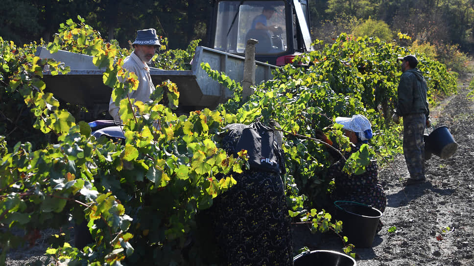 Фото: Виктор Коротаев / Коммерсантъ