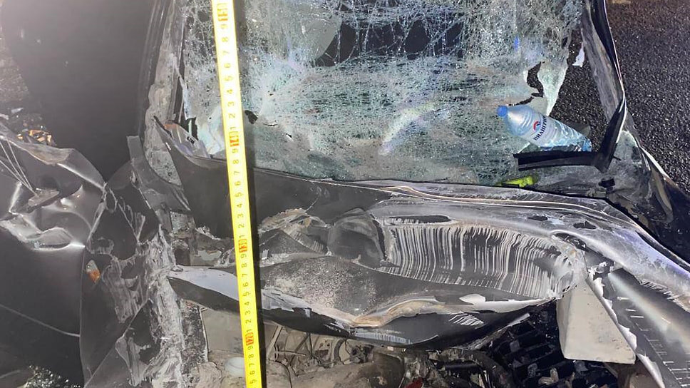 Фото: Госавтоинспекция Ставропольского края