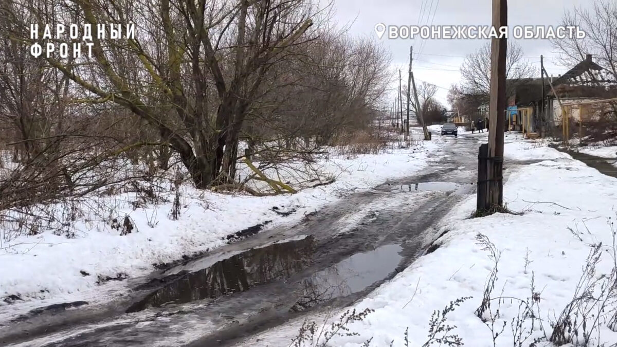    200 семей живут в «лужах» в Новохоперске Воронежской области региональное отделение ОНФ по Воронежской области