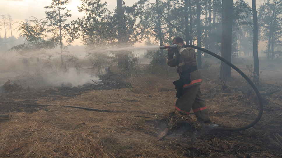 Фото: Олег Харсеев / Коммерсантъ