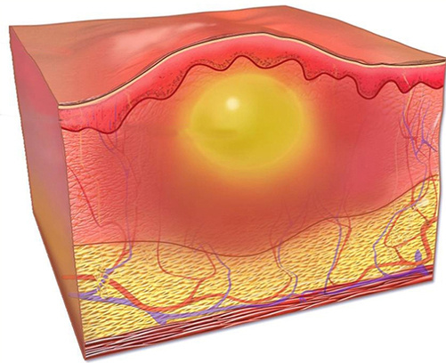 Изображение из свободного доступа