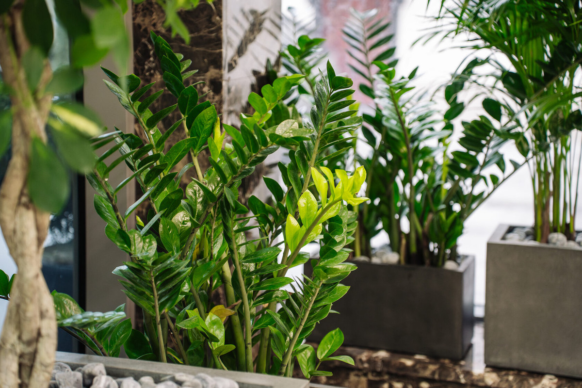 Выполнено декораторами Me Decor