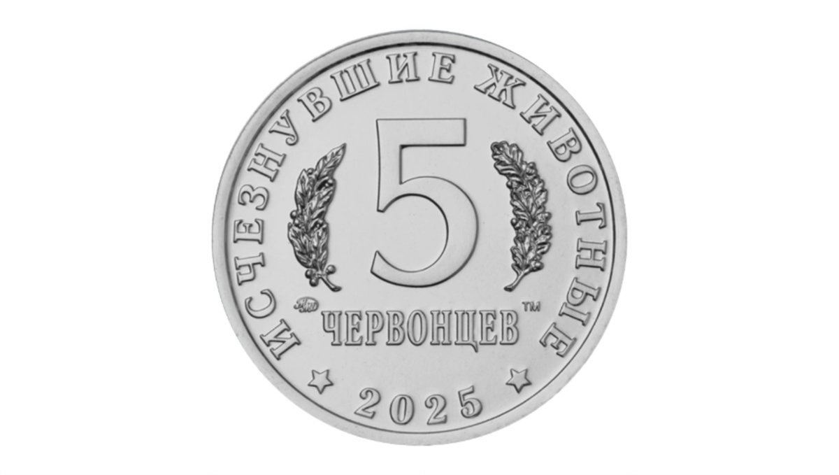 Лицевая сторона жетона