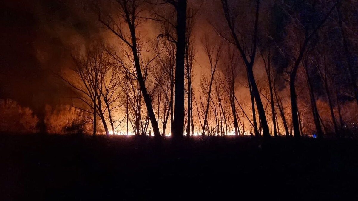    Фото: телеканал «Краснодар»