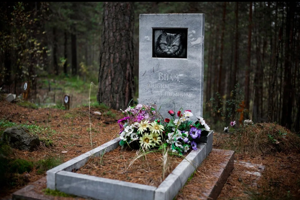 Теперь за такие захоронения можно схлопотать по шапке получить можно🥶