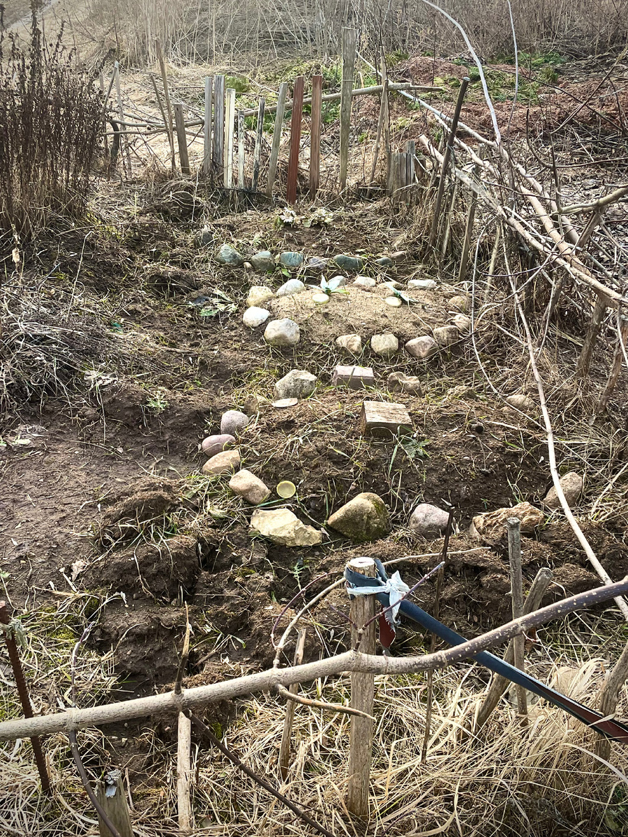 Вот такое кладбище домашних животных под Истрой обустроили рядом с нашим домом. Не по себе, если честно