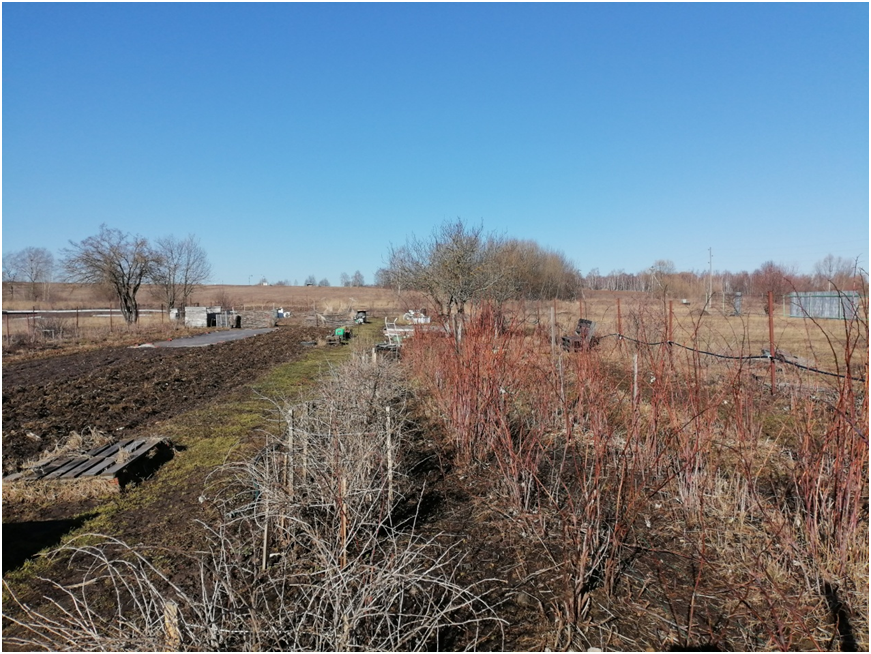 Утро 15 марта. Личное фото автора.