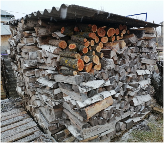 Личное фото автора.