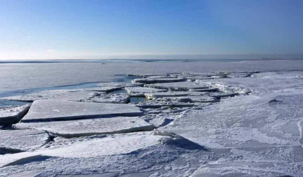     Лёд на Финском заливе. Источник: ria.ru Автор фото: Mcseem