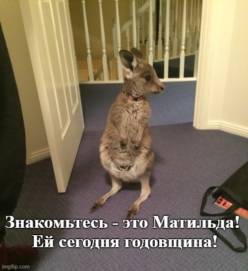 Малышка Матильда