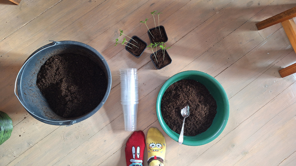 Фото автора. 