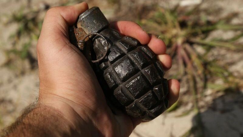    Фото: SergeyKPI/Shutterstock/Fotodom