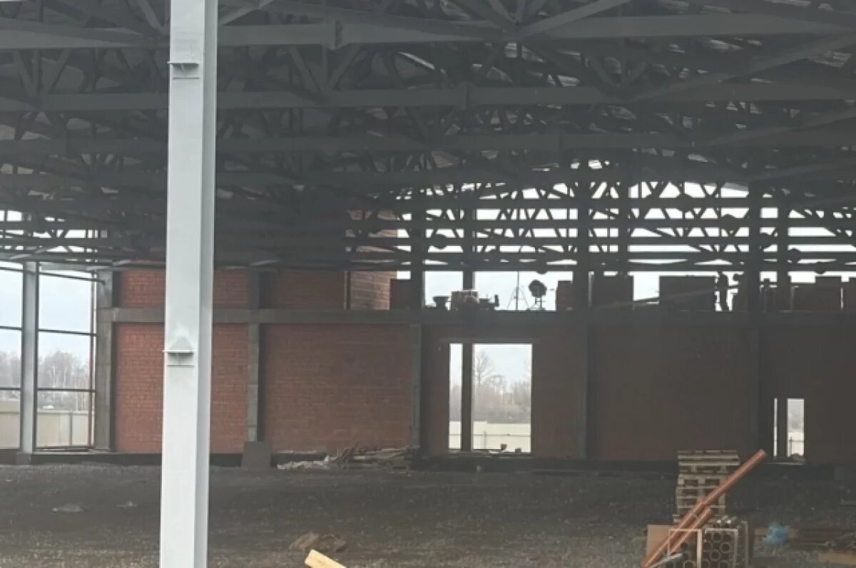    В Рыбинске строительство ледового корта завершат к концу года