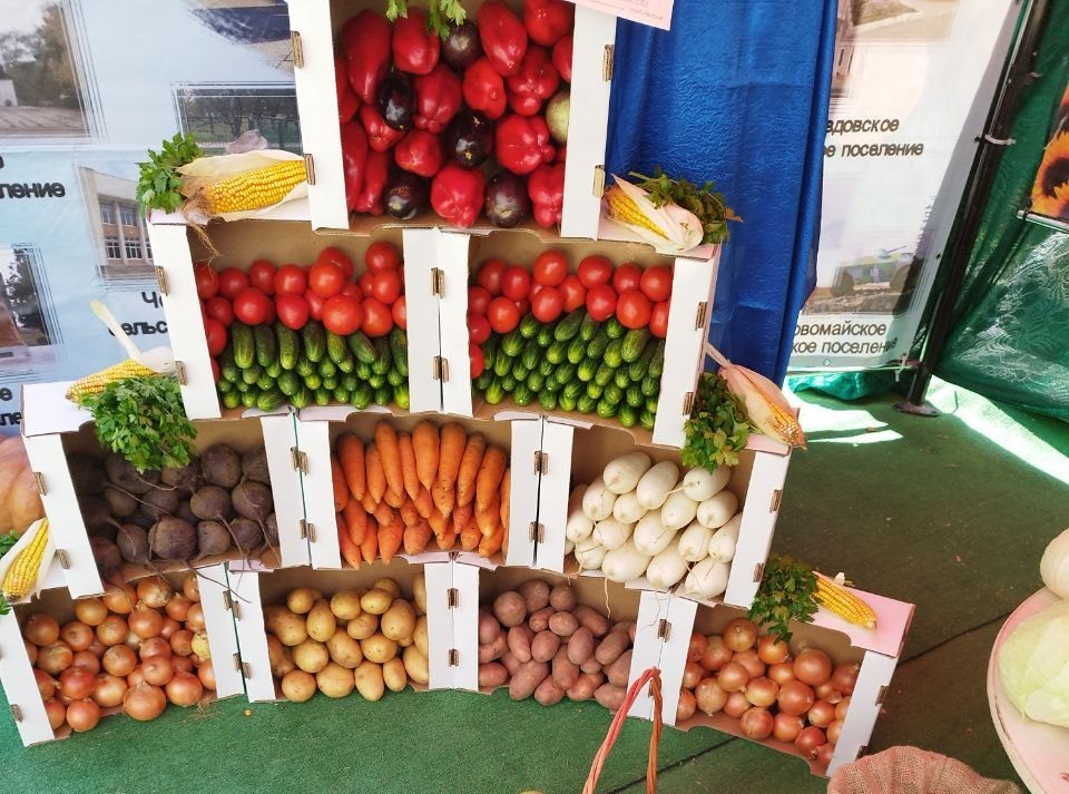    Фото: "Крым 24" Elena Maltseva