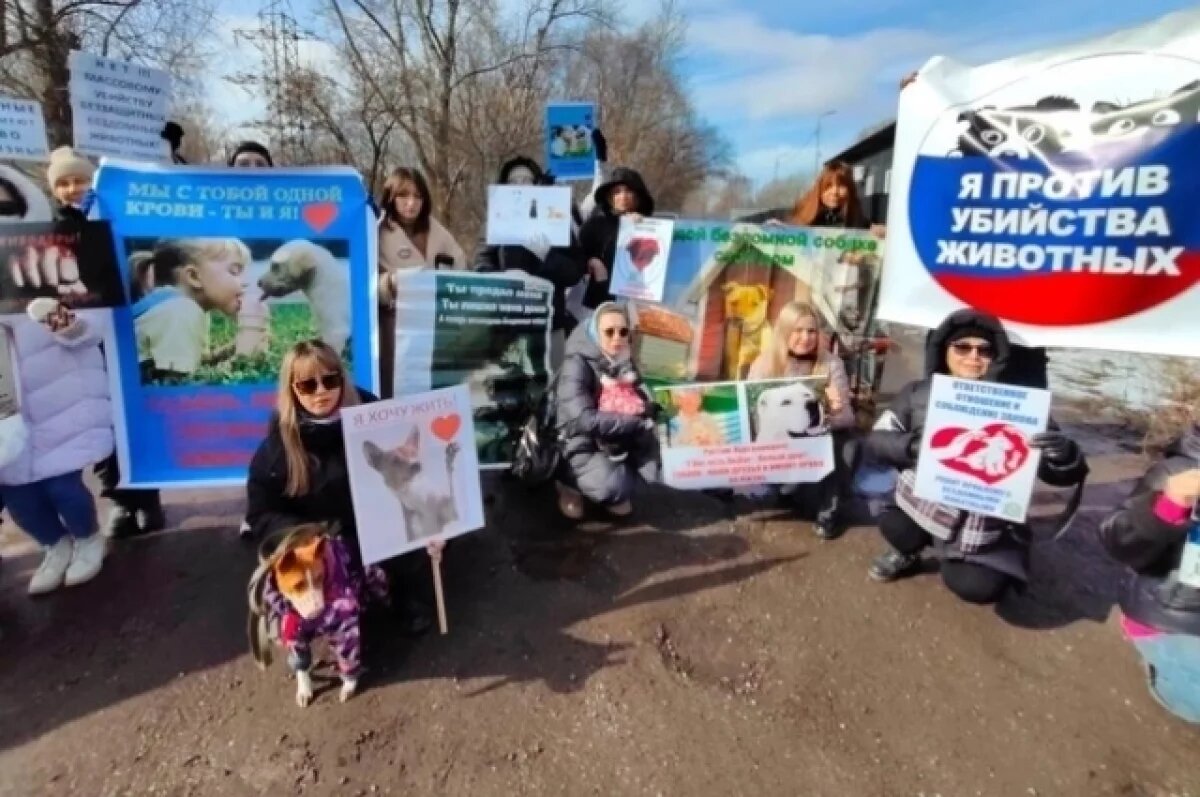    Сегодня собак, завтра стариков усыплять?