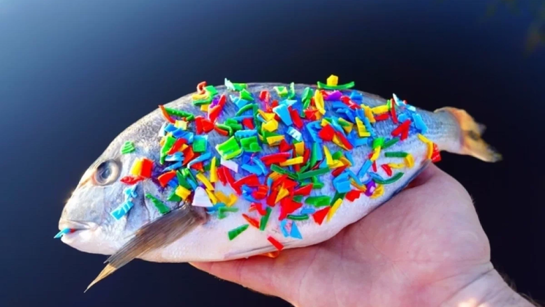 Источник: Аргументы и факты