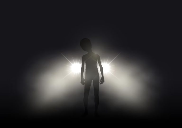    Фото: freepik.com Александра Горохова