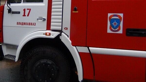    © ГУ МЧС по РСО-Алания