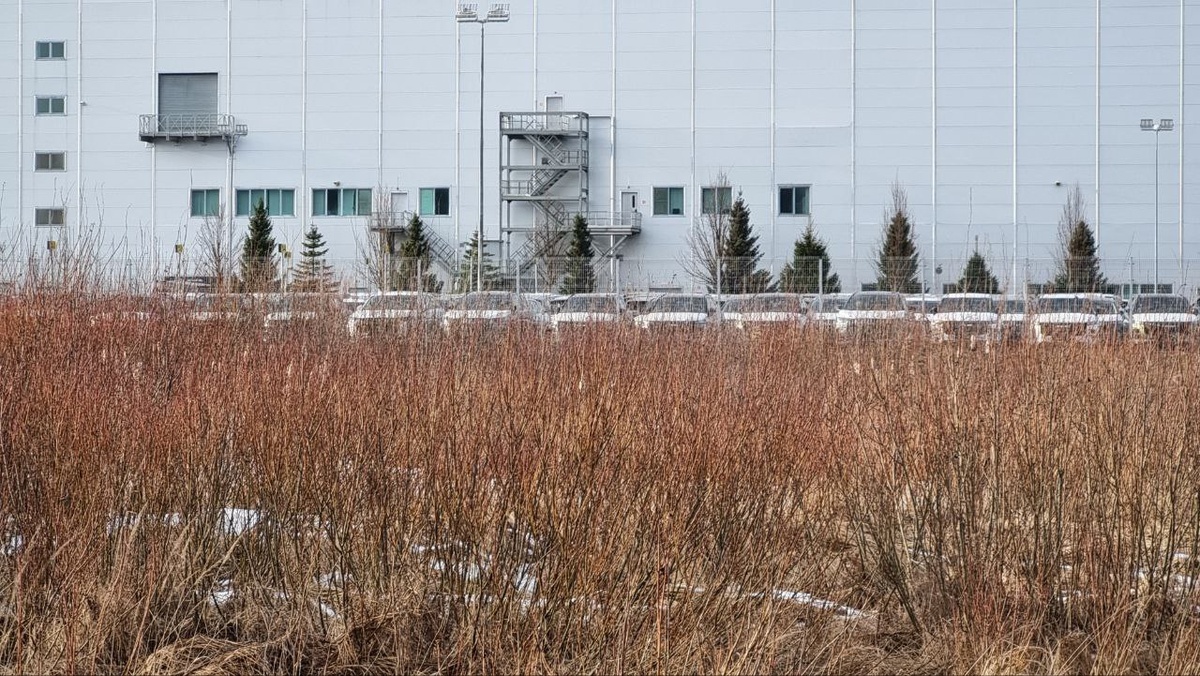 Фото AutoRun SPb  📷
