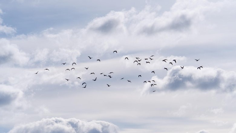 Источник: Freepik