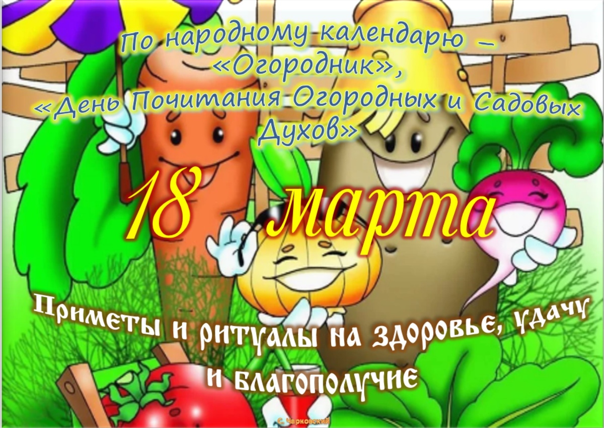 Встречаем новый день