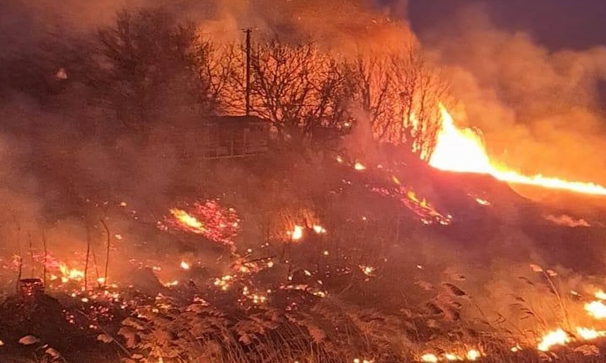    Фото t.me/golos_pravda