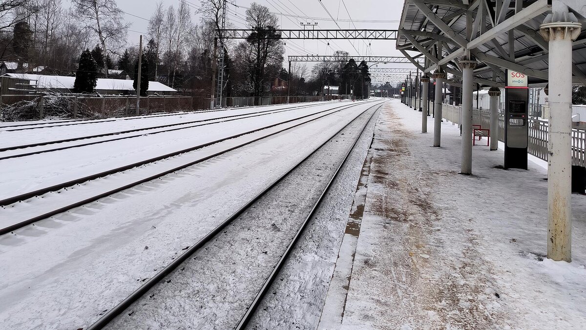    Фото: Maksim Konstantinov/globallookpress.com