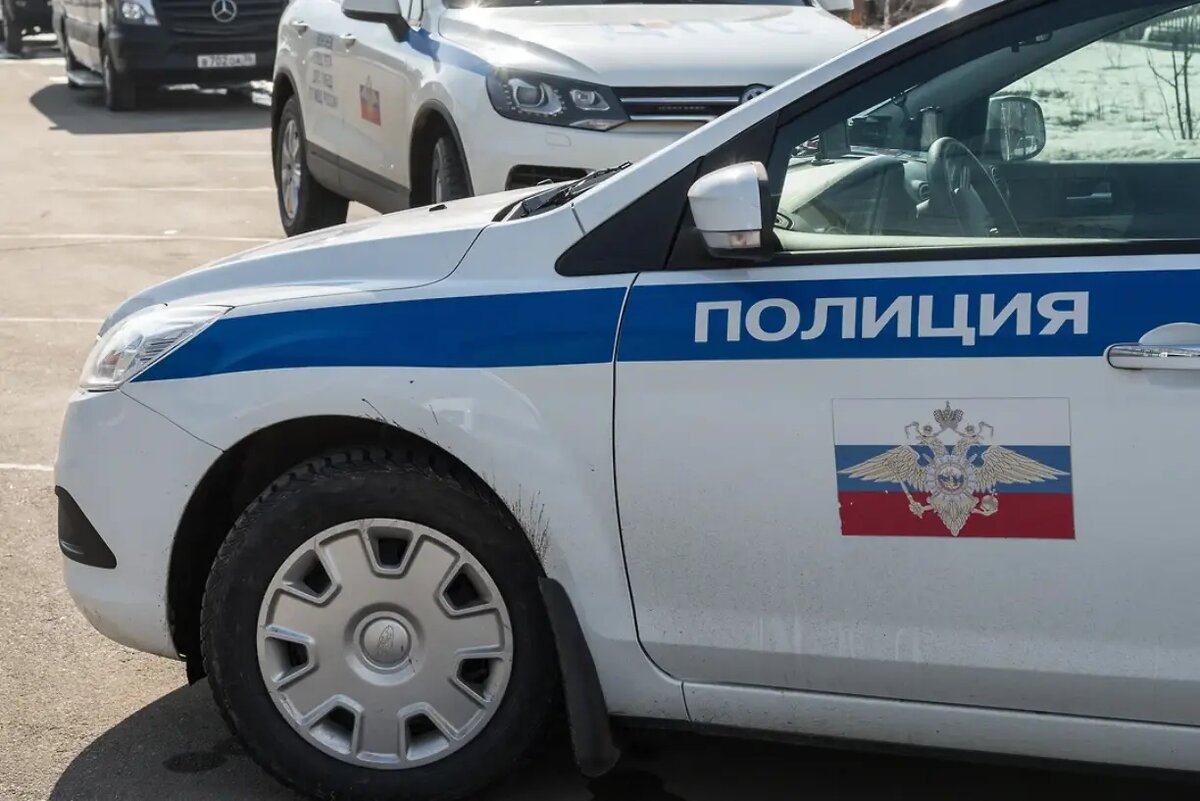 Фото: Игорь Елисеев / Коммерсантъ