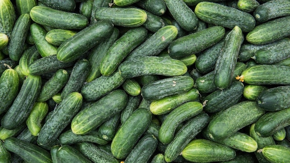    Автор фото: Яндолин Роман