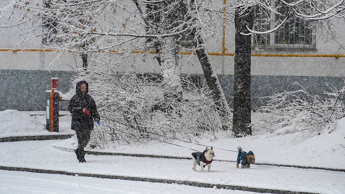    Фото: Александр Авилов / АГН Москва