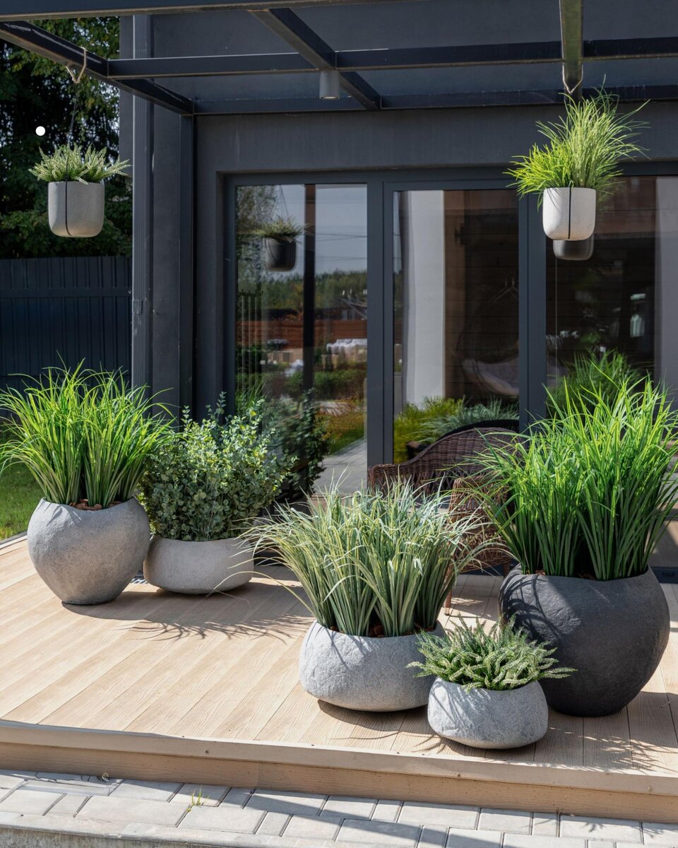 Кашпо и растения Treez Collection