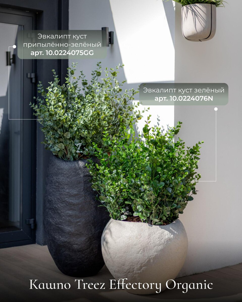 Кашпо и растения Treez Collection