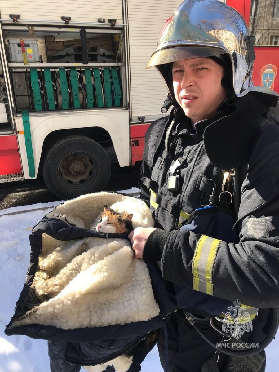    Фото: МЧС РФ по Петербургу