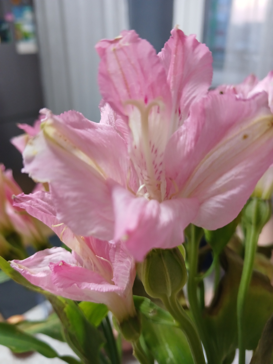 "Доброе утро, мир! Ты прекрасен!" Фото автора