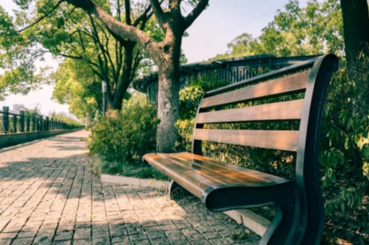    В Новосибирске нашли подрядчика для благоустройства сквера имени Бугакова