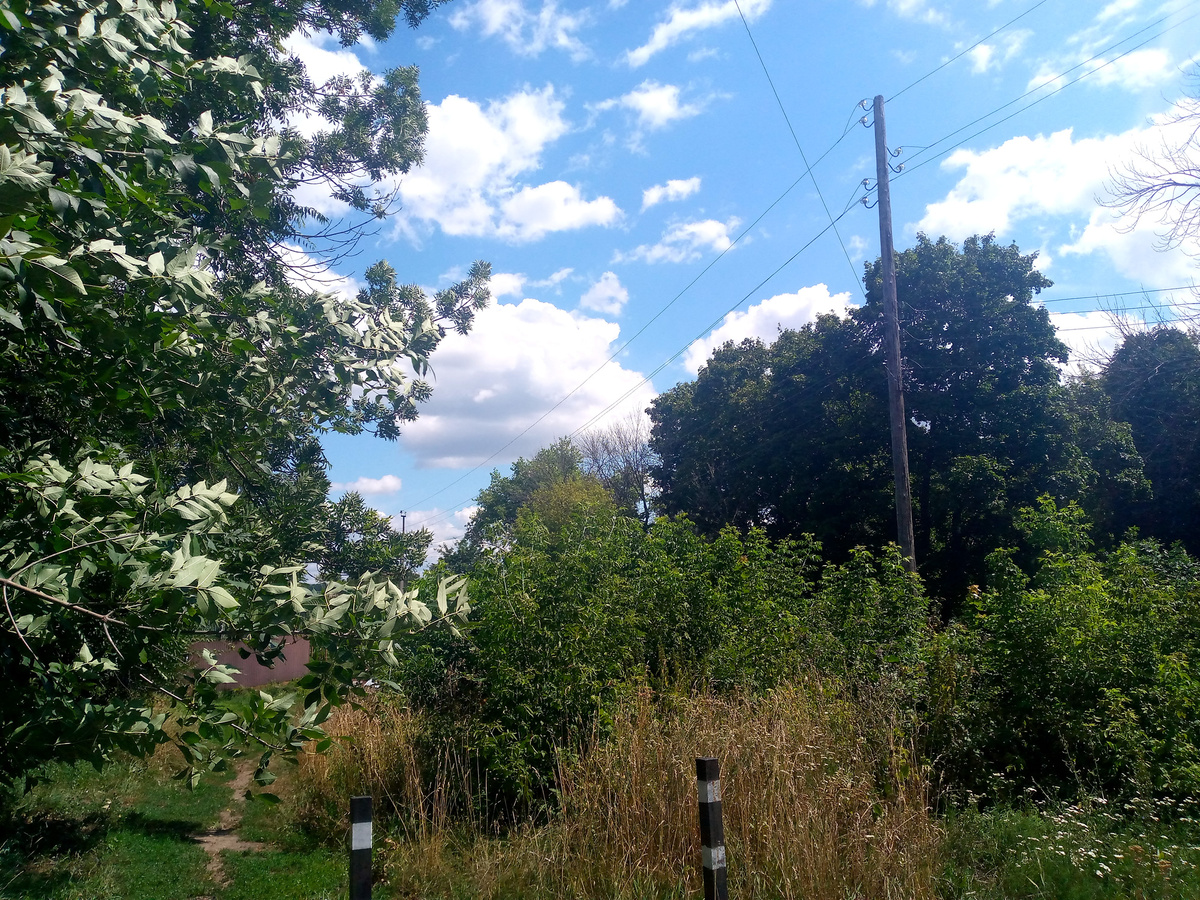 (с) "В один день".