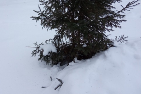 Фотография из личного архива автора