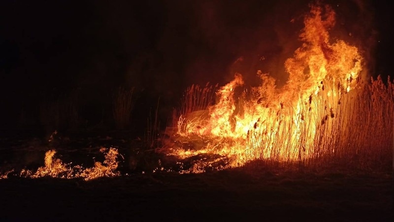      Фото: пресс-служба ПАСС СК